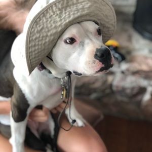 Meet your Posher, Dane